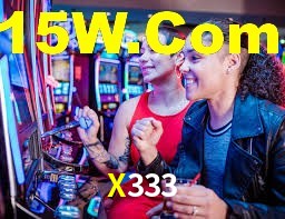 X333