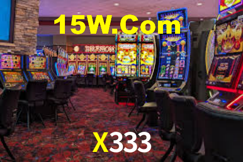 X333